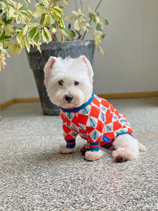 Cute Dog Sweater For Medium Breeds Cool Design Dog Clothes
