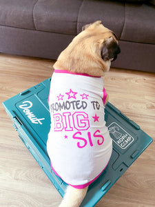 Dog Shirt Big Sis
