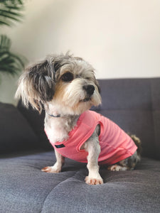 Pink Dog shirt