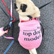 America's Next Top Dog Model Dog Shirt Pet Vest Pink
