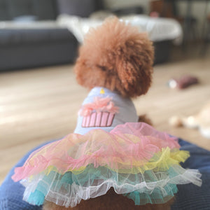 Birthday Cake Dog Dress Party Outfit