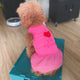 Cute Pink Tutu Dog Dress I Love My Mommy