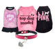 Dog Clothes and Accessories Set of 5 
