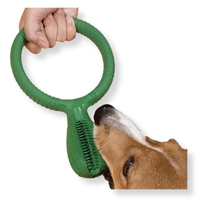 Dog Toothbrush Toy 